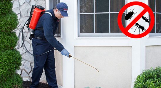 Üçkuyular Bit İlaçlama böcek ilaçlama ve haşere kontrolü — ilaclama-tr.com